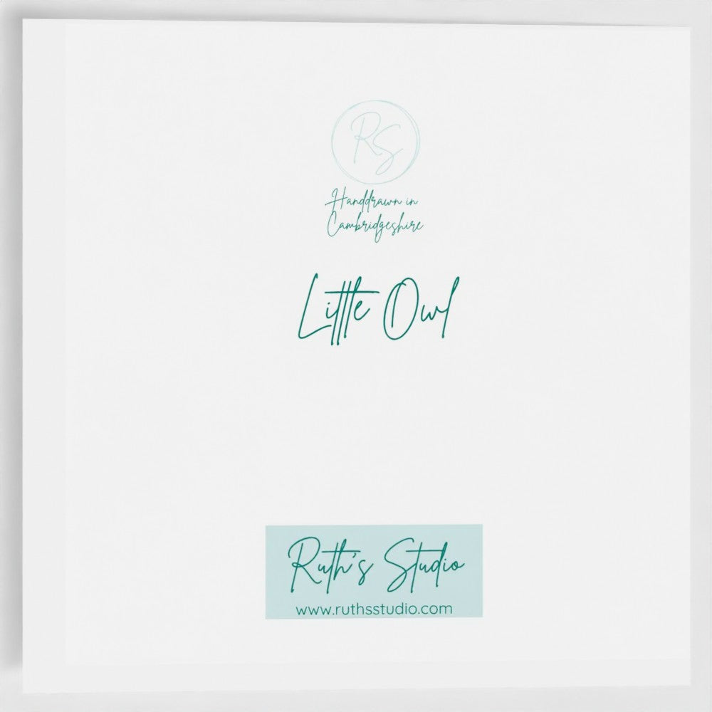 'Little Owl' Greetings card