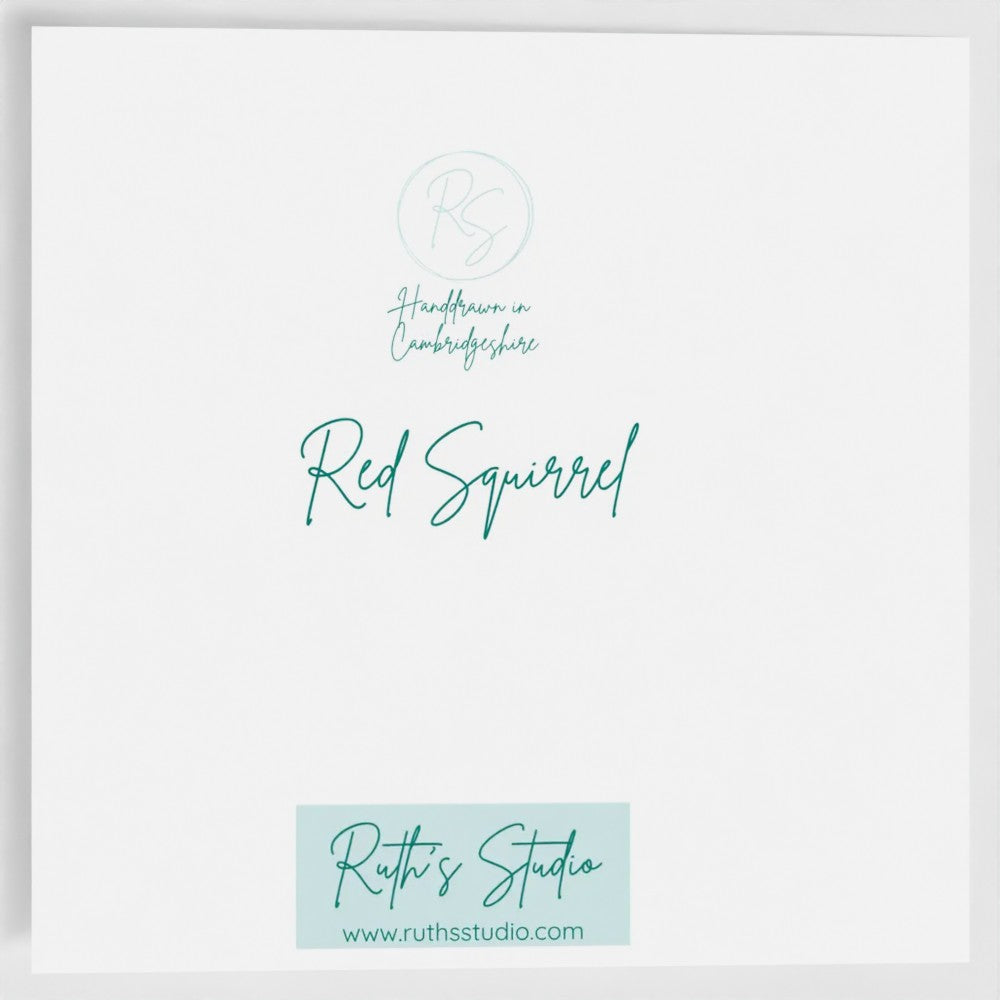 Red Squirrel greetings card