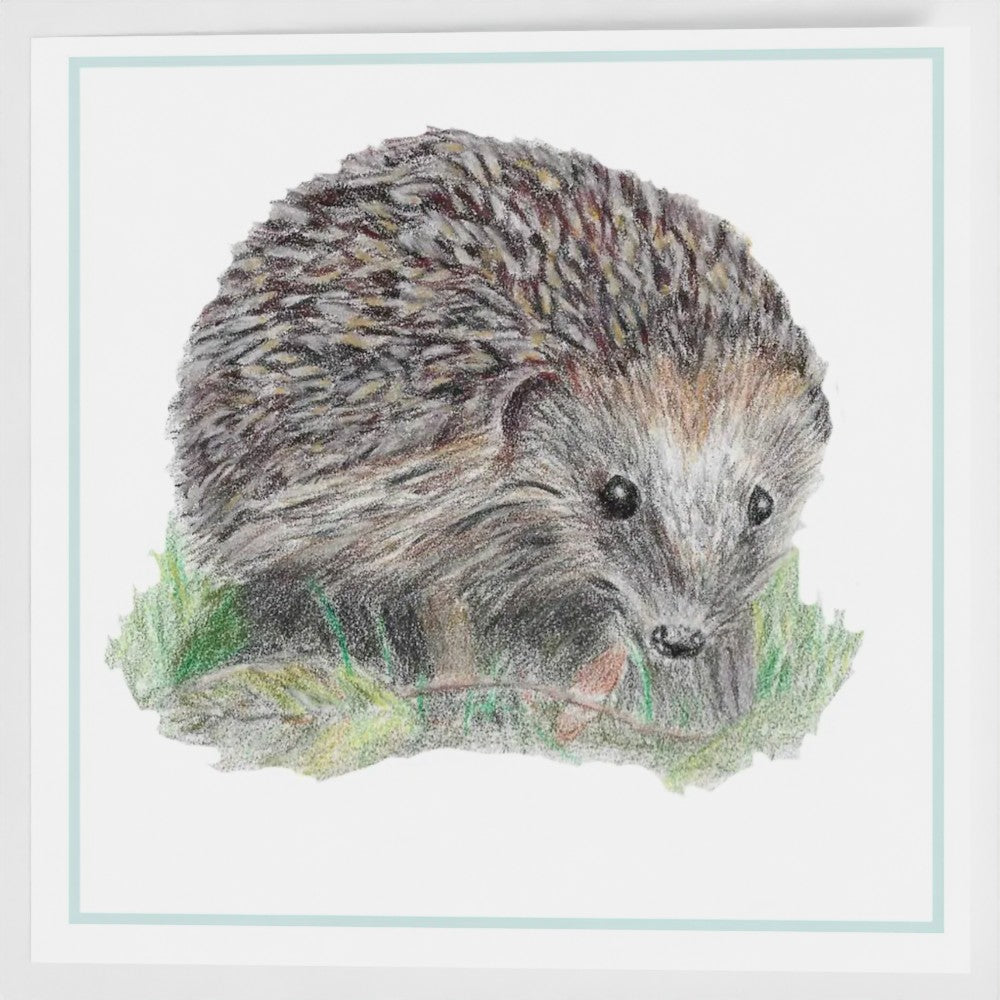 Hedgehog greetings card