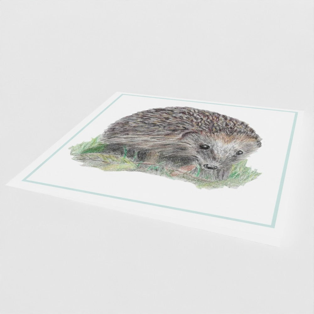 Hedgehog greetings card