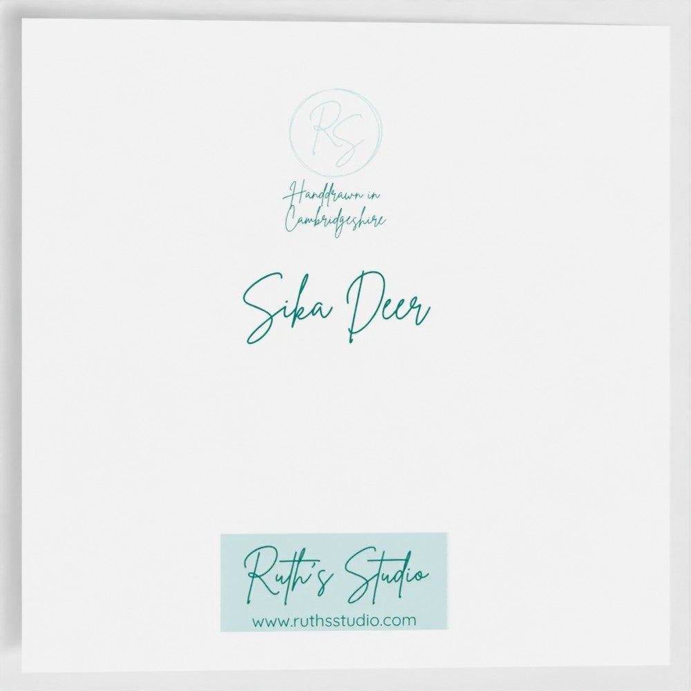 'Sika Deer' Greeting Cards