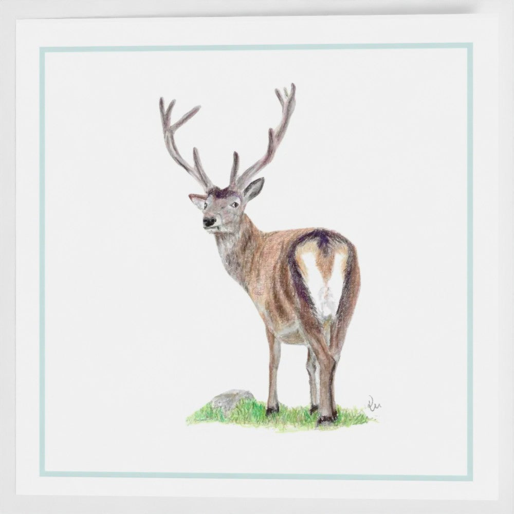 Stag greetings card