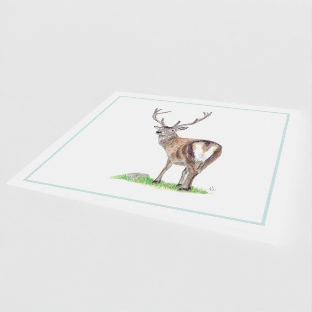 Stag greetings card