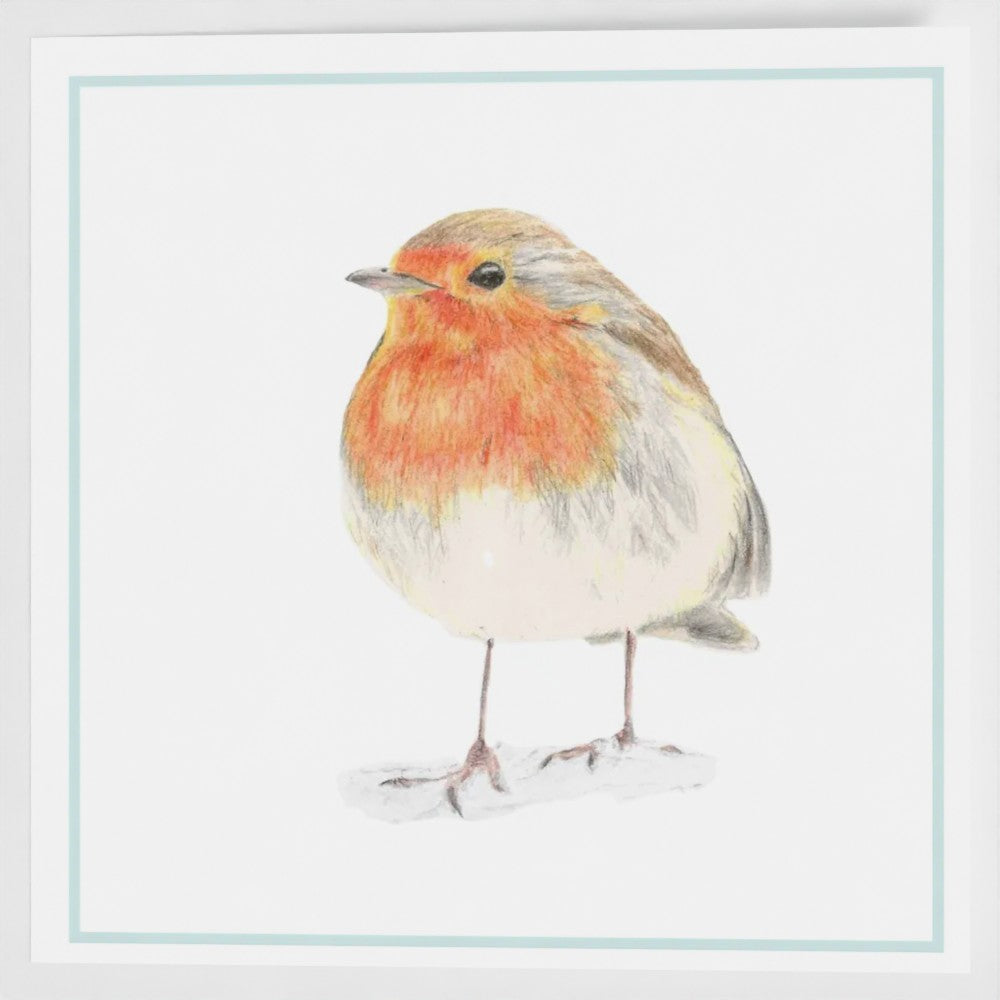 Robin greetings card