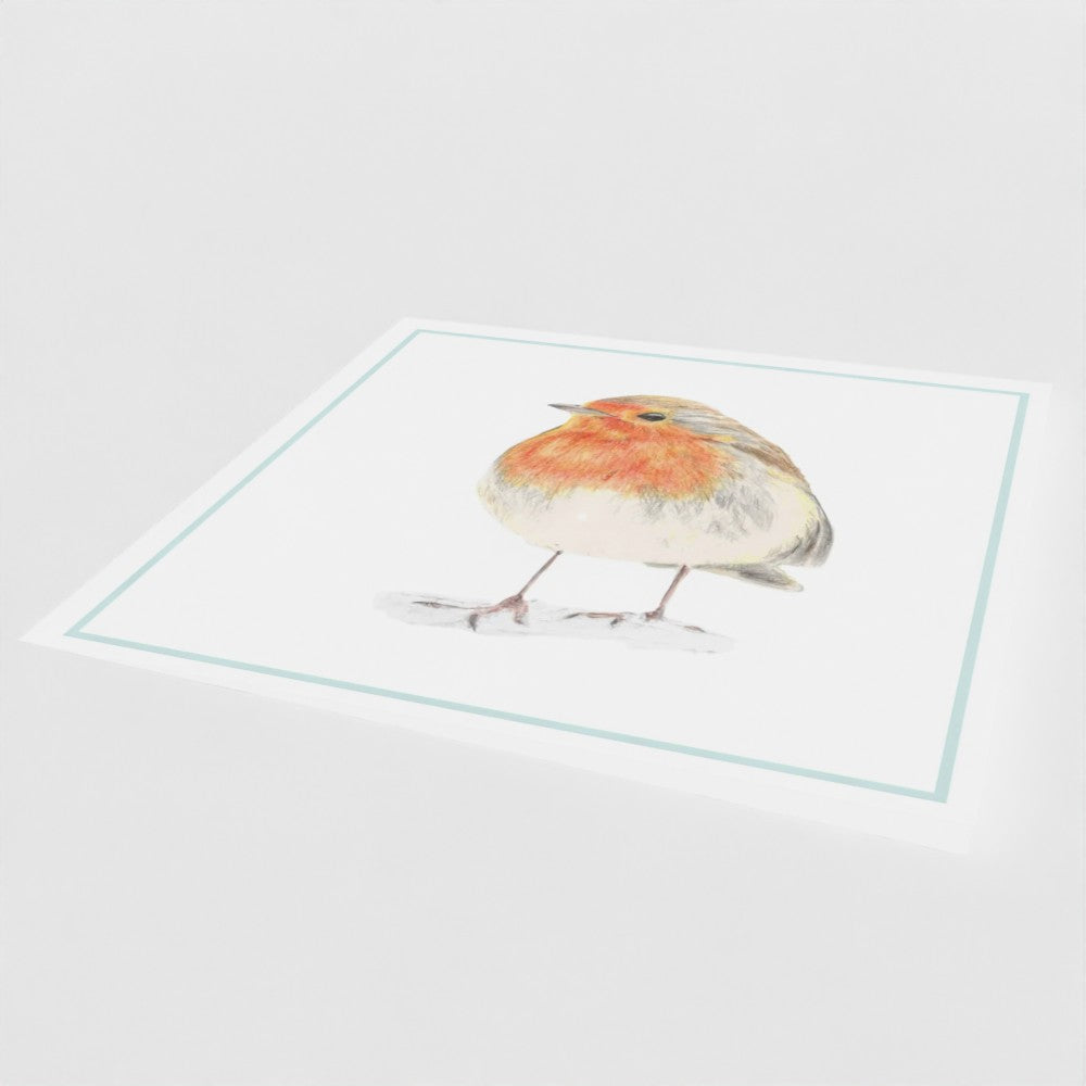 Robin greetings card