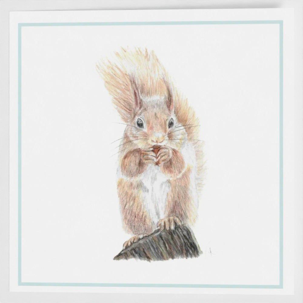 Red Squirrel greetings card