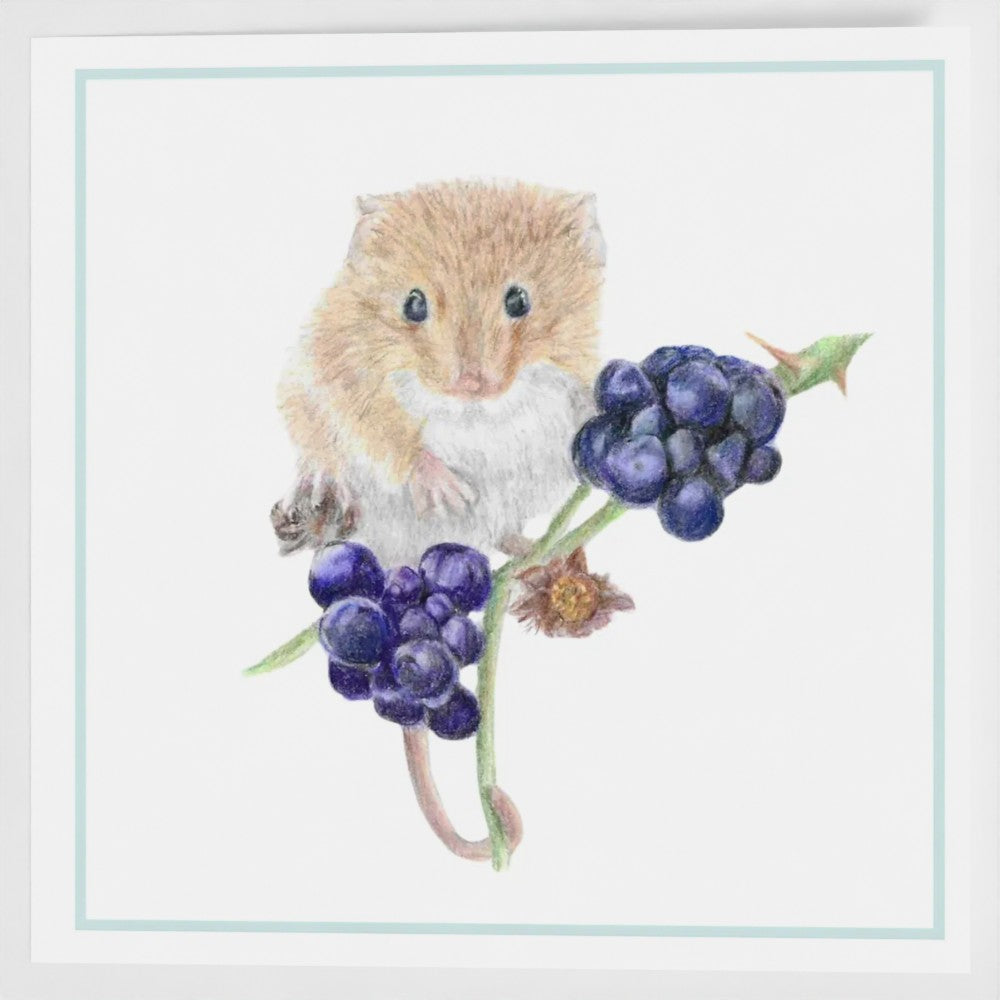 Harvest Mouse Greeting Cards